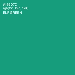 #169D7C - Elf Green Color Image